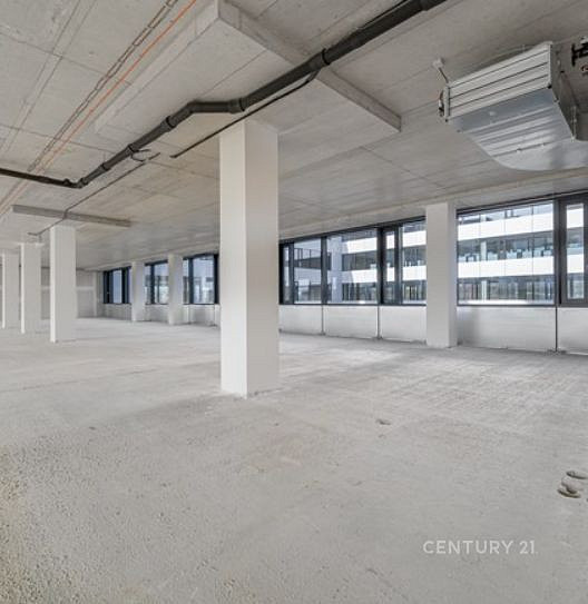 Pronájem kanceláře 500 m² – fotografie 4