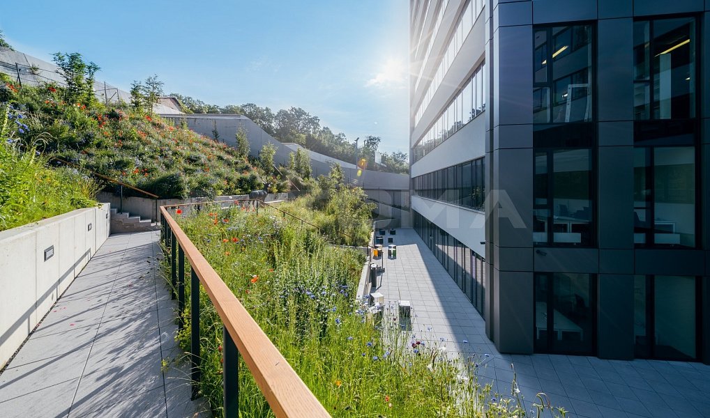 Pronájem kanceláře 500 m², Praha – náhled fotky 5