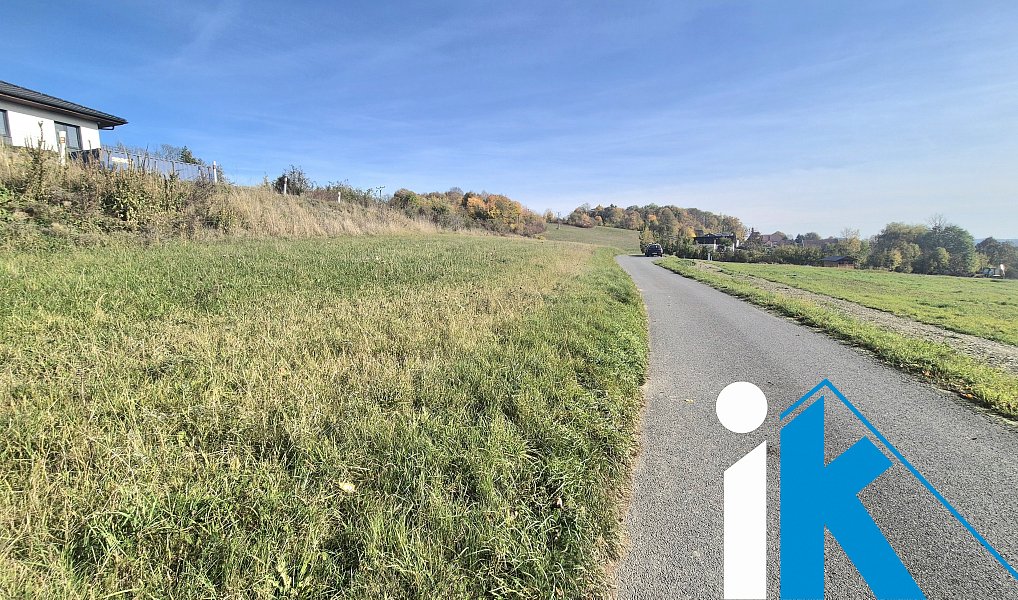 Prodej pole 2 347 m², Dzbel – náhled fotky 6