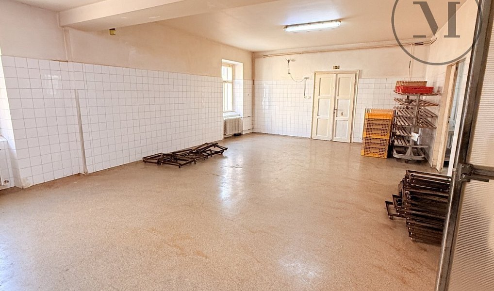 Pronájem výrobních prostor 300 m², Netolice – náhled fotky 3