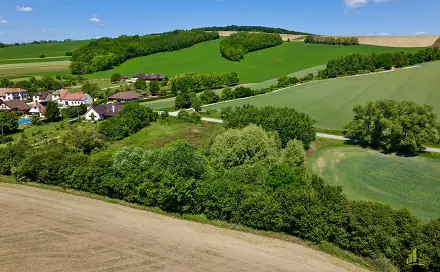 Ostatní
