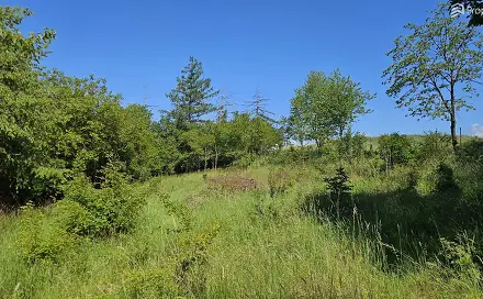 Prodej stavebního pozemku 1 845 m², Letovice - Zboněk, okres Blansko