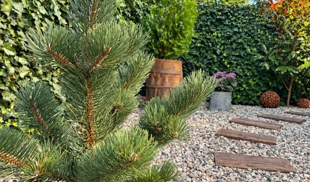 Prodej domu 124 m² s pozemkem 354 m², Rudná – náhled fotky 36