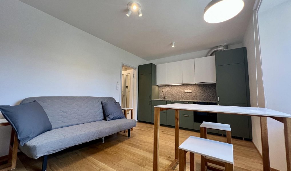 Pronájem bytu 1+kk 27 m², Praha – náhled fotky 4