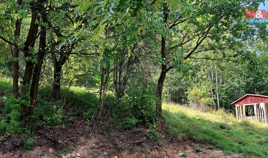 Prodej stavebního pozemku 10 875 m², Úštěk – náhled fotky 8