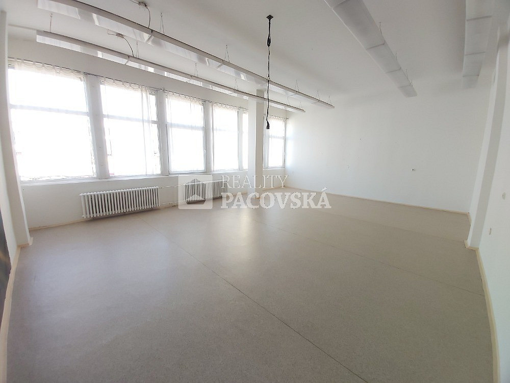 Pronájem obchodních prostor 787 m² – fotografie 4