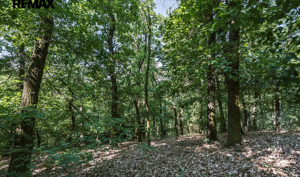Prodej chaty/chalupy 24 m² s pozemkem 1 480 m², Zdiby – náhled fotky 13