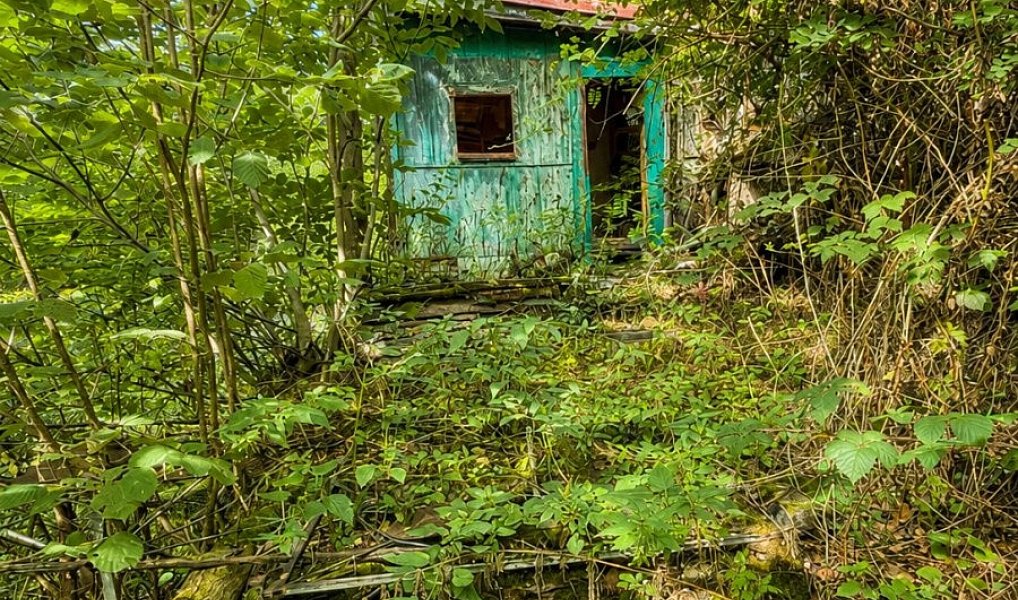 Prodej chaty/chalupy 32 m² s pozemkem 1 313 m², Zdiby – náhled fotky 19