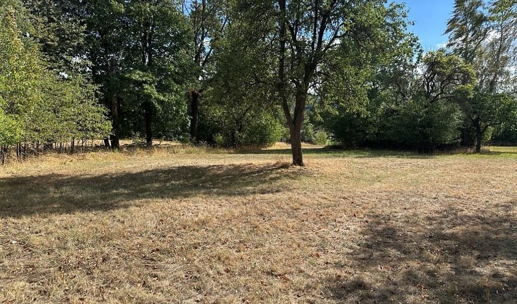 Prodej domu 371 m² s pozemkem 11 770 m², Křižanov – náhled fotky 16