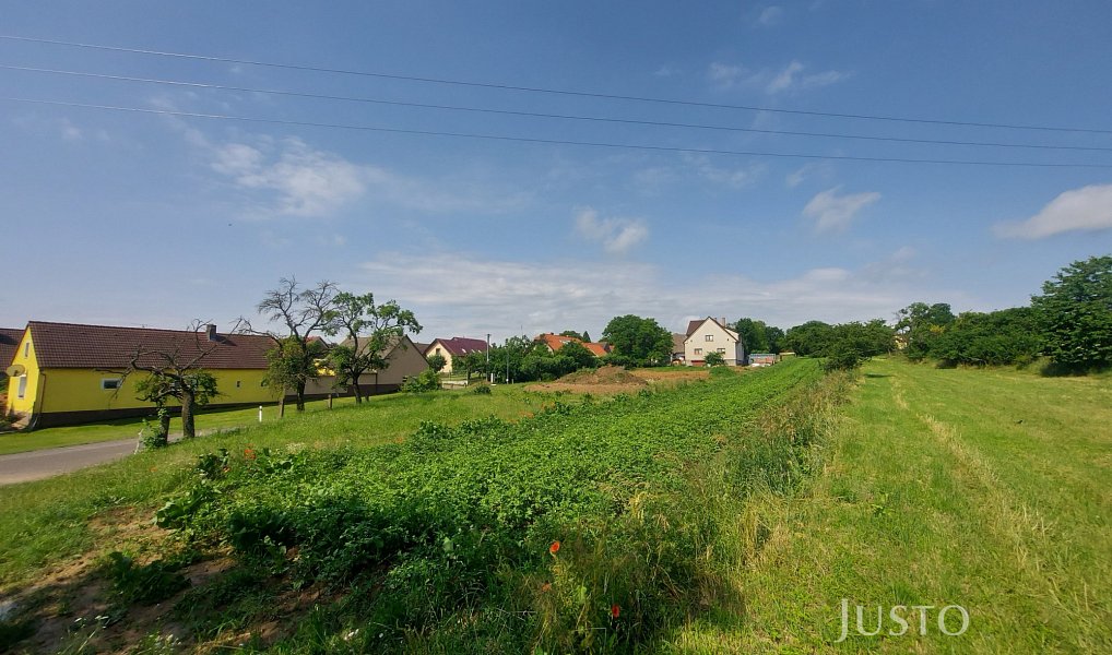 Prodej stavebního pozemku 2 918 m², Dražíč – náhled fotky 11