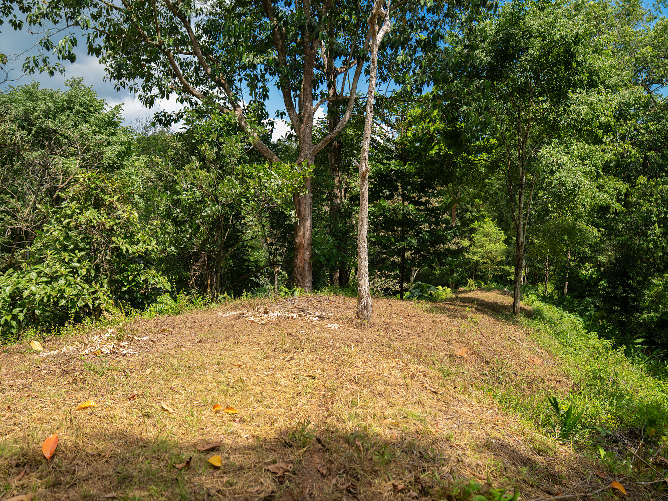 Prodej stavebního pozemku 5 000 m² — photo 4