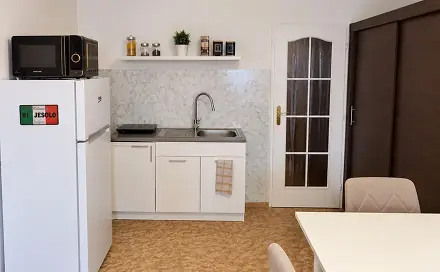 Pronájem bytu 1+kk 25 m², Kpt. Nálepky, Podbořany, okres Louny