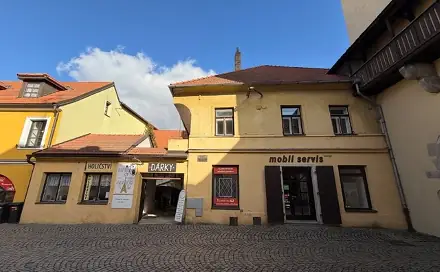 Prodej obchodních prostor 250 m², Pelhřimov