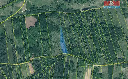 Prodej lesa 7 736 m², Jetětice, okres Písek