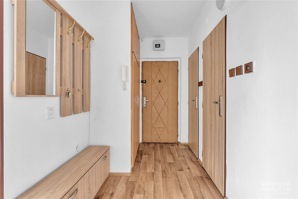 Pronájem bytu 3+1 60 m² – další