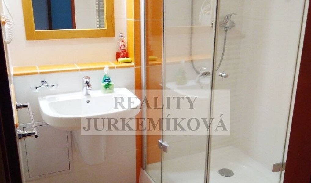 Pronájem bytu 1+kk 32 m², Frymburk – náhled fotky 5