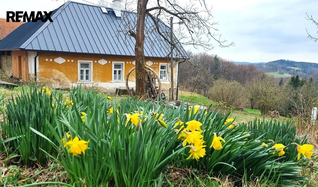 Prodej chaty/chalupy 164 m² s pozemkem 285 345 m², Vsetín – náhled fotky 13