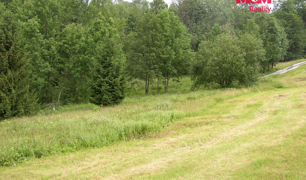 Prodej louky 4 214 m², Benecko – náhled fotky 6