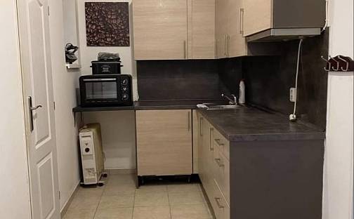 Prodej bytu 1+kk 30 m², Na Folimance, Praha 2 - Vinohrady