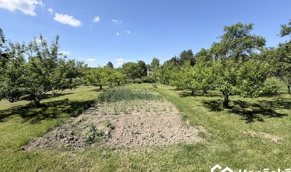 Prodej zahrady 808 m², Jankovice – náhled fotky 6