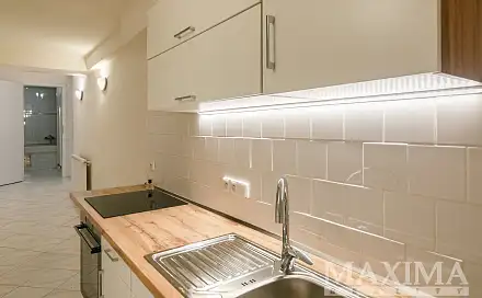 Pronájem bytu 2+1 55 m², U zeměpisného ústavu, Praha 6 - Bubeneč