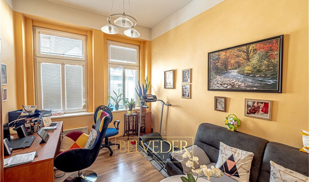 Prodej nájemního domu, činžáku 430 m², Teplice – náhled fotky 19
