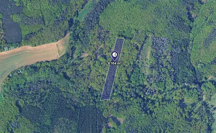 Prodej lesa 771 m², Svinošice, okres Blansko