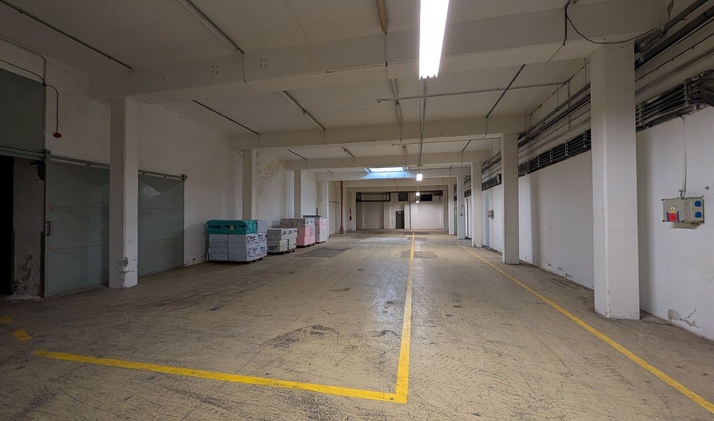 Prodej skladovacích prostor 12 000 m², Liberec – náhled fotky 15