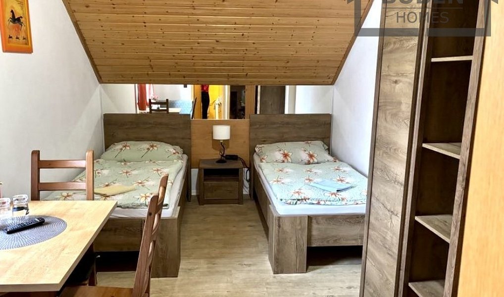 Prodej domu 480 m² s pozemkem 1 077 m², Tachov – náhled fotky 55