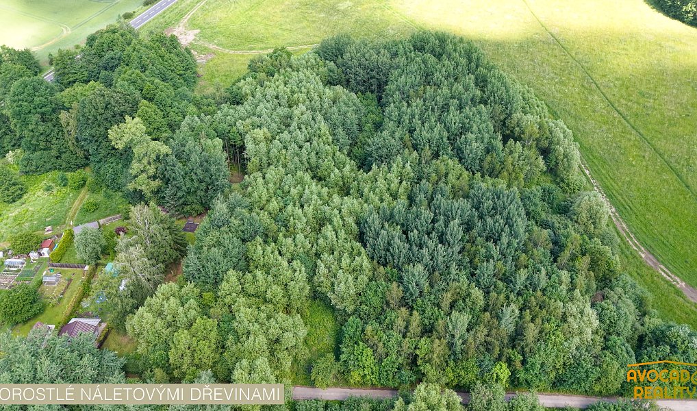 Prodej louky 532 m², Česká Lípa – náhled fotky 5