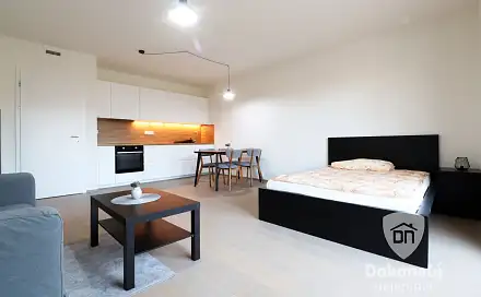 Pronájem bytu 1+kk 40 m²