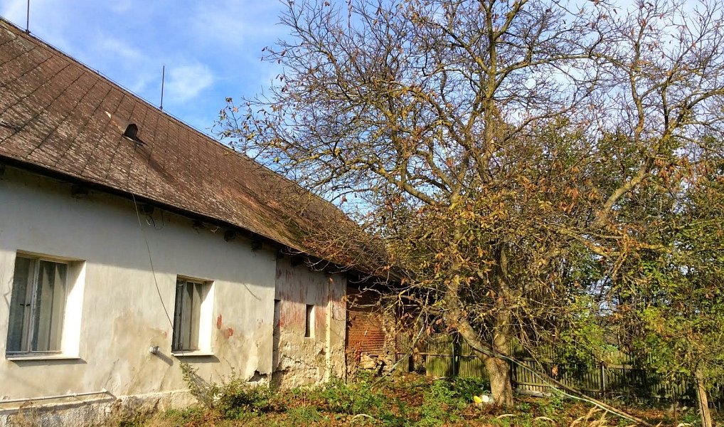 Prodej domu 250 m² s pozemkem 2 793 m², Osová Bítýška – náhled fotky 4
