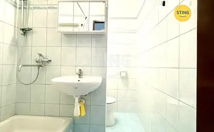 Pronájem bytu 2+1 44 m², Jižní, Hodonín