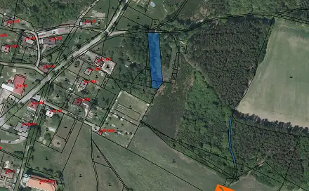 Prodej lesa 2 087 m², Horní Brusnice, okres Trutnov
