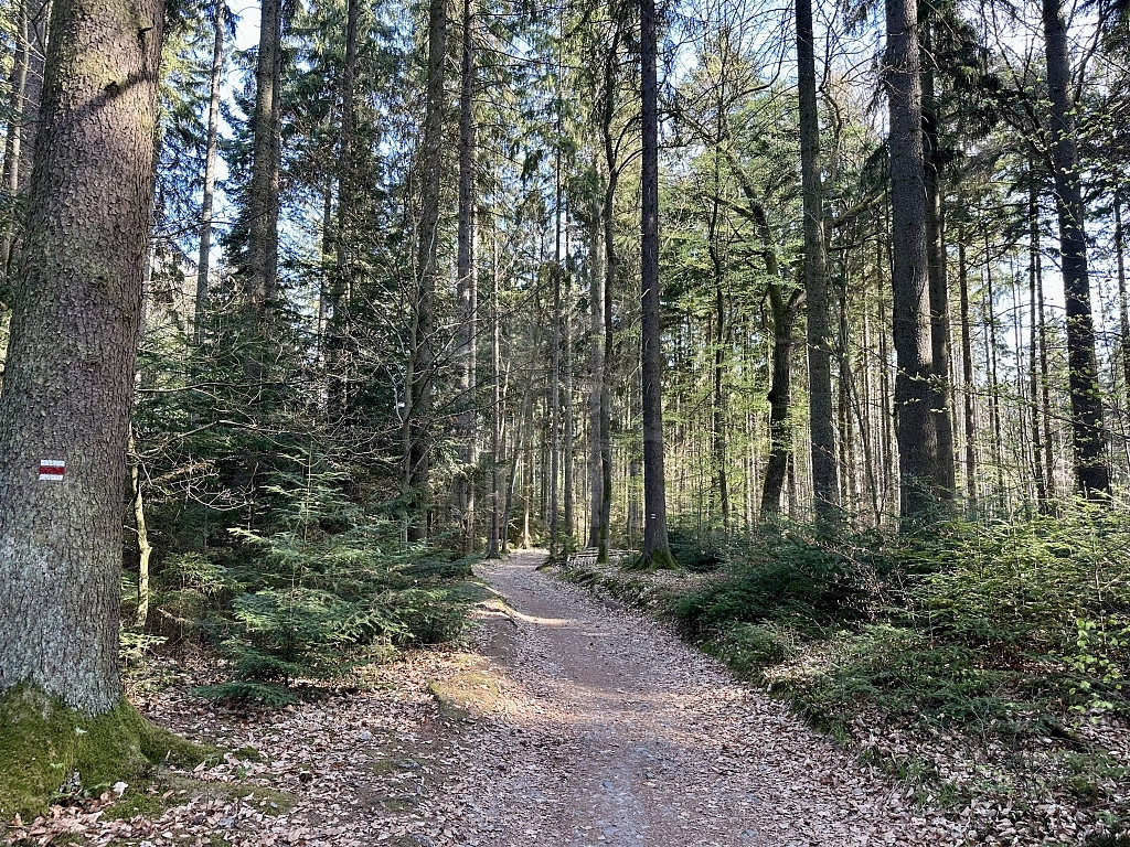Prodej stavebního pozemku 1 795 m² – další