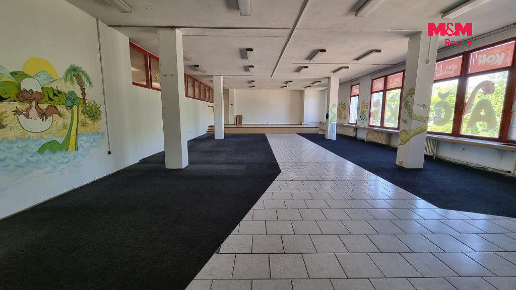 Pronájem obchodních prostor 270 m² – fotografie 4