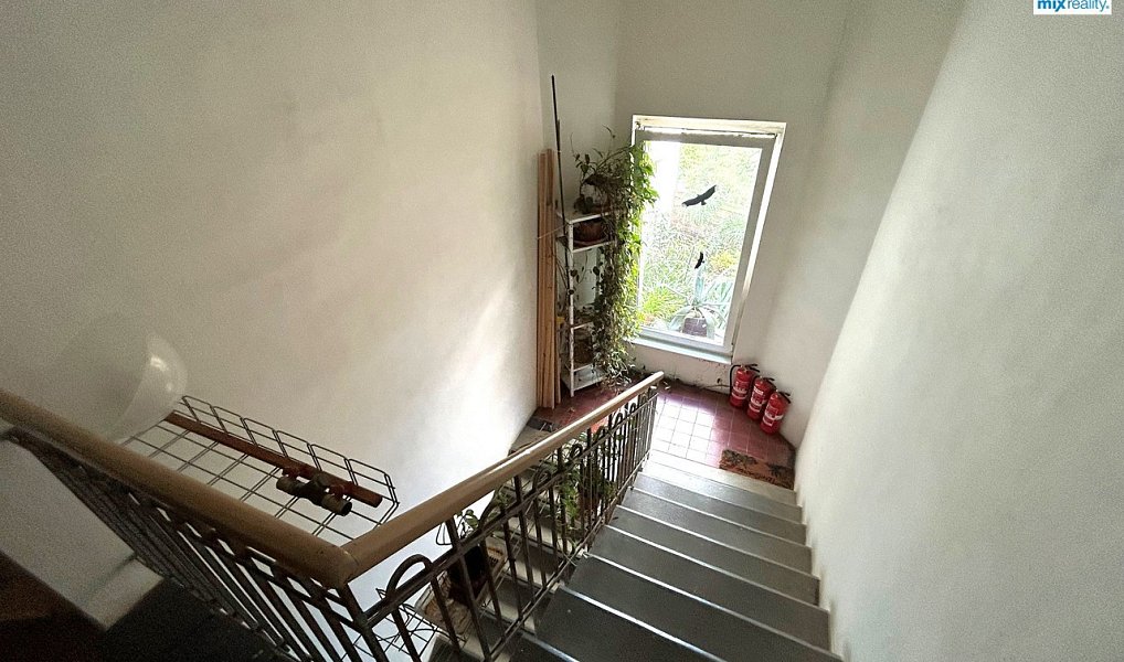 Pronájem pokoje 75 m², Plzeň – náhled fotky 13