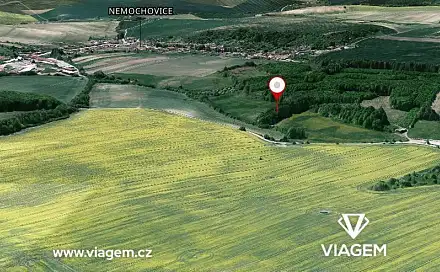 Prodej lesa 624 m², Nemochovice, okres Vyškov