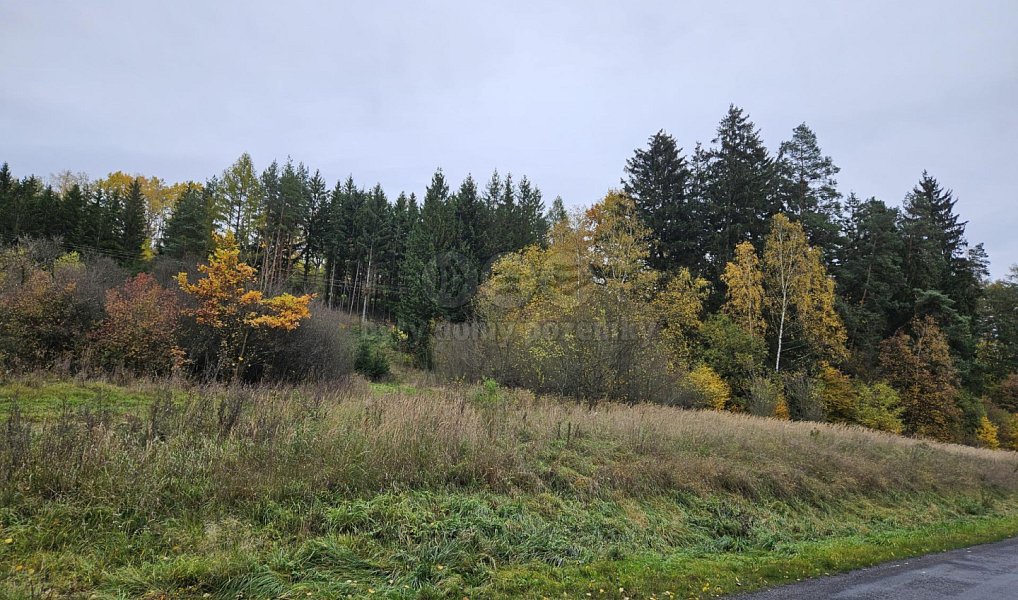 Prodej pole 1 278 m², Bělá u Jevíčka – náhled fotky 11