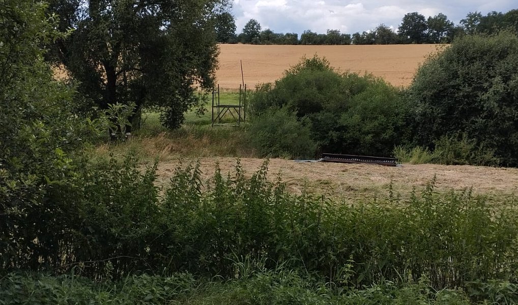 Pronájem louky 3 000 m², Líšťany – náhled fotky 3