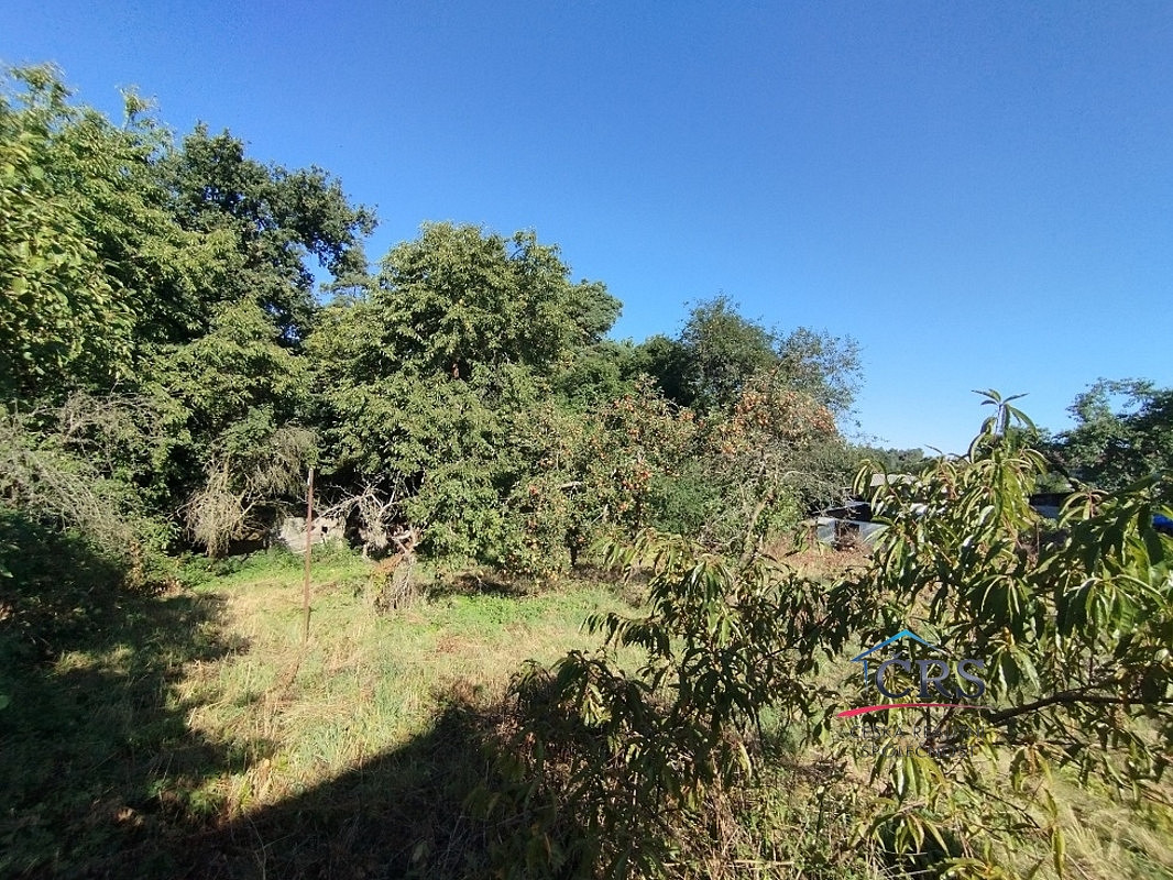 Fotka 6 z 11