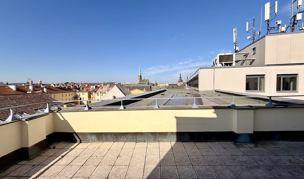 Pronájem bytu 1+1 34 m², Plzeň – náhled fotky 3