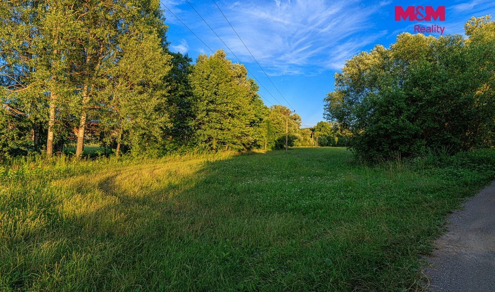 Prodej louky 4 590 m², Horní Bříza – náhled fotky 5