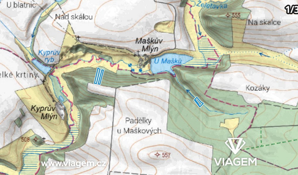 Prodej lesa 12 665 m², Radkovice u Budče – náhled fotky 3