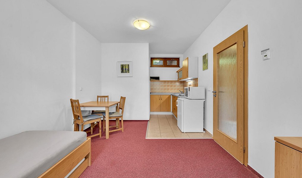 Prodej ubytovacího objektu 159 m², Horní Maršov – náhled fotky 10