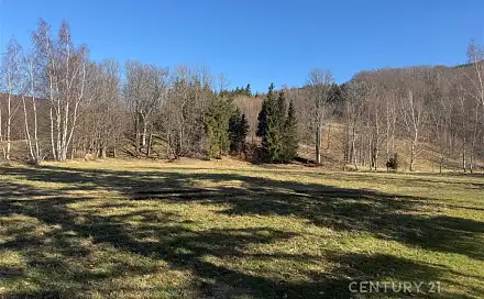 Prodej pozemku 3 194 m², Bílý Potok, okres Liberec