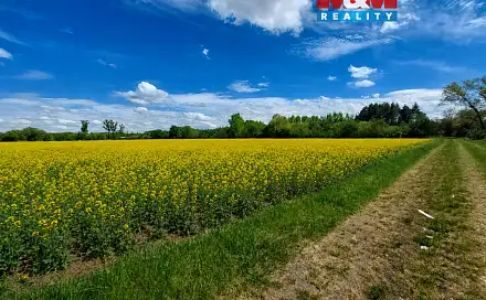 Prodej pole 142 115 m², Pňov-Předhradí - Pňov, okres Kolín
