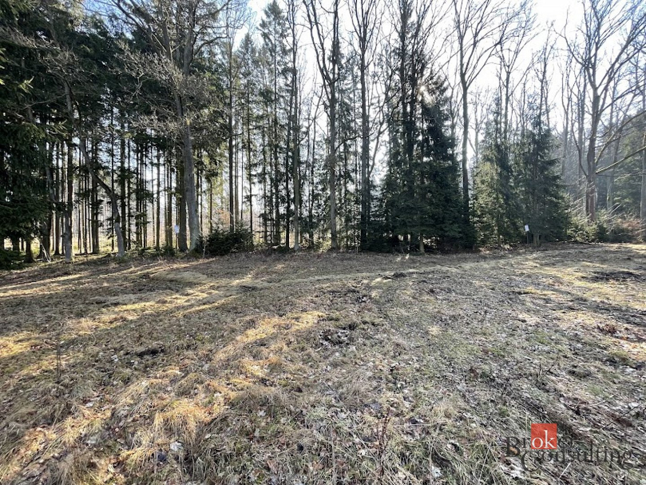 Prodej pozemku 3 298 m² – fotografie 5