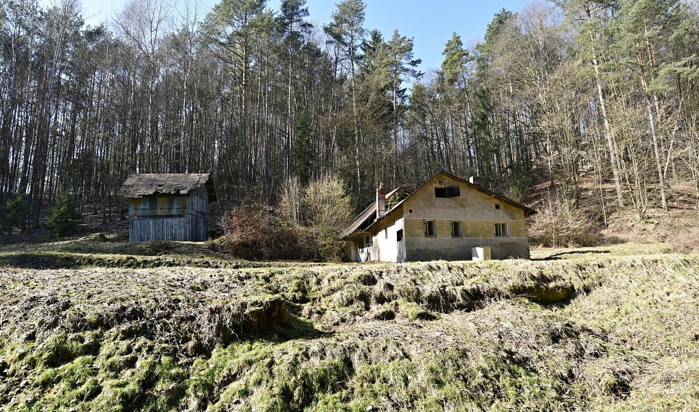 Prodej stavebního pozemku 3 659 m², Mšeno – náhled fotky 5