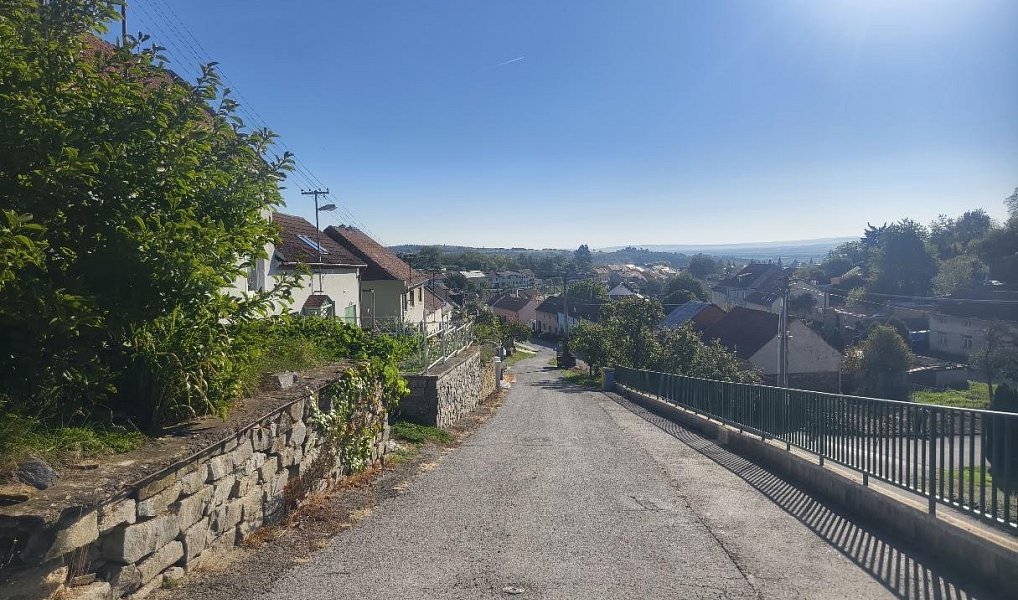 Prodej domu 420 m² s pozemkem 1 227 m², Radslavice – náhled fotky 3